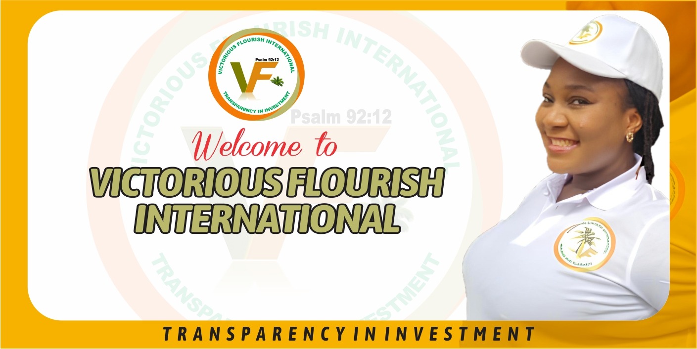 Welcome To VFi MarketPlace